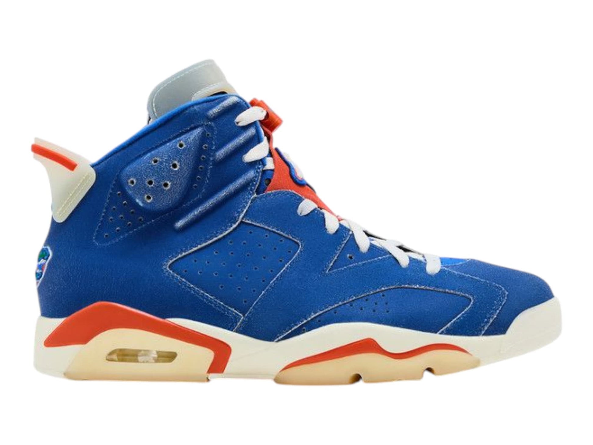 Jordan VI (6) PE - Florida Gators