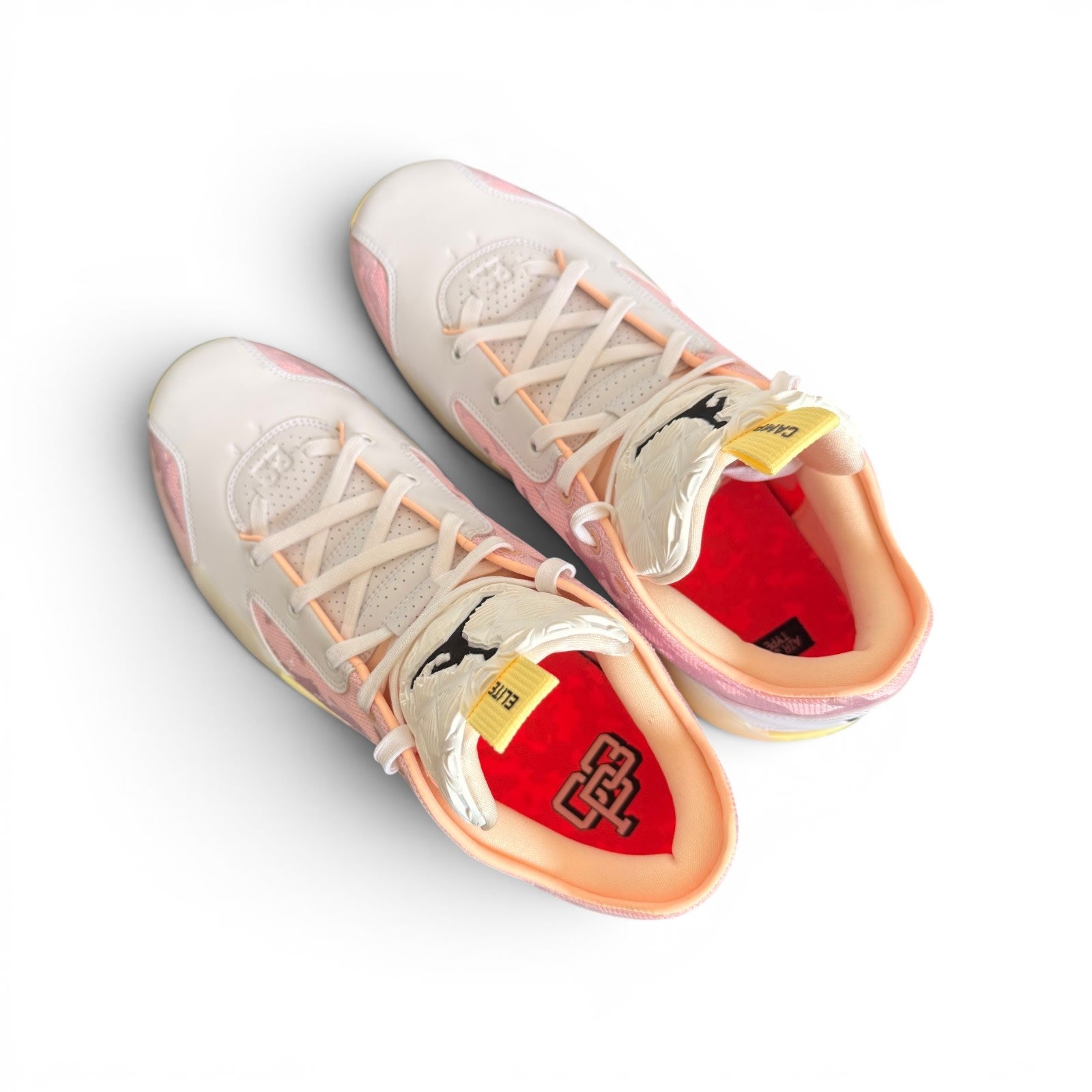 Jordan 39 Chris Paul Elite Camp PE