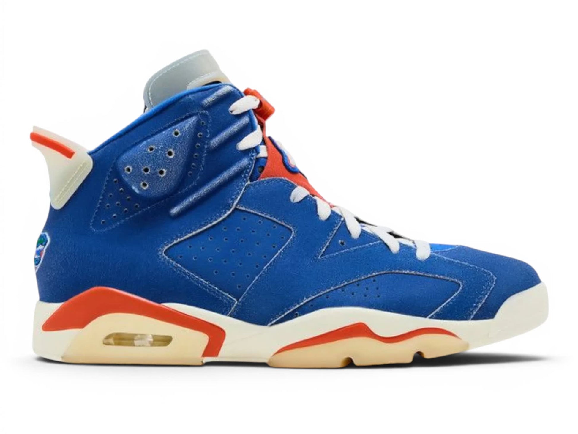 Jordan VI (6) PE - Florida Gators