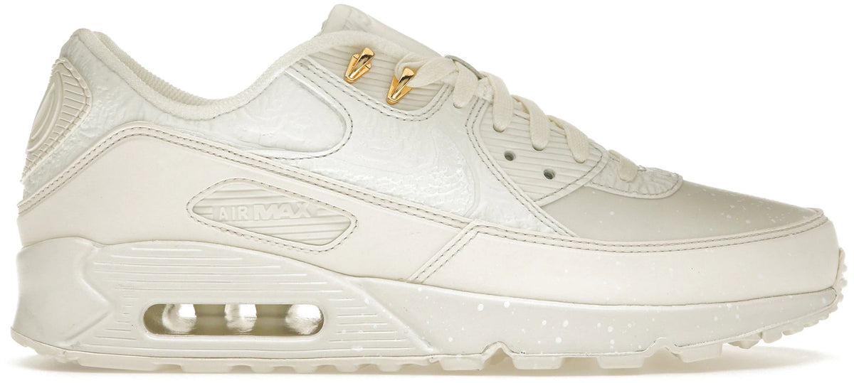 https://images.stockx.com/images/Nike-Air-Max-90-Slawn-Sail-Product.jpg?fit=fill&bg=FFFFFF&w=1000&fm=webp&auto=compress&q=90&dpr=2&trim=color&updated_at=1741813723