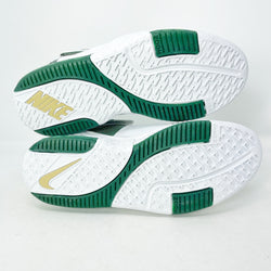 Nike Zoom LeBron 2 PE - SVSM (Home)